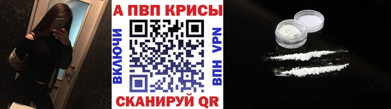 А ПВП СК КРИС  Багратионовск 