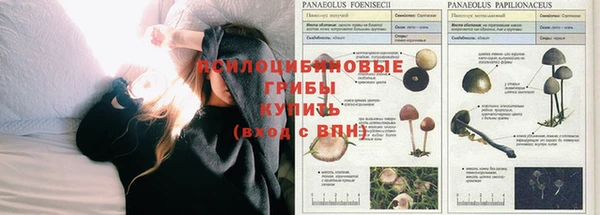 альфа пвп Армянск