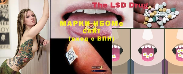 кокс Аркадак