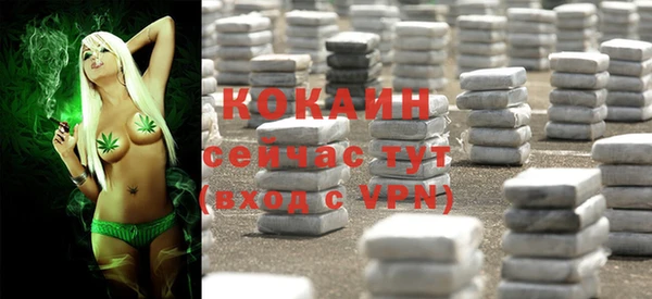 ешки Арсеньев
