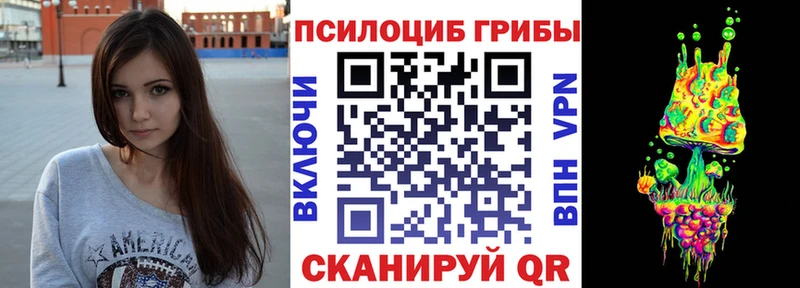 Псилоцибиновые грибы Psilocybine cubensis  Багратионовск 